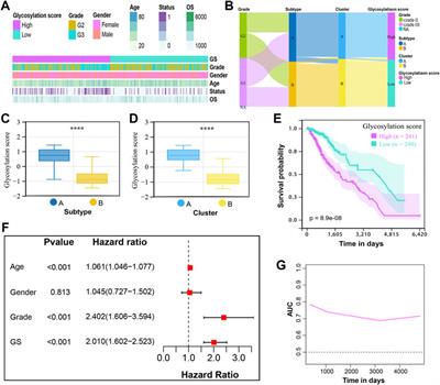 Glycosylation modification patterns reveal distinct tumor metabolism and immune microenvironment landscape in lower-grade gliomas